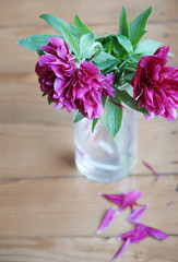 Peony flowers in a glass vase.