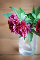 
Pink peony in a vase