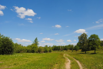 summer landscape with blue sky