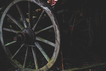 Zerfallenes Haus in der Natur