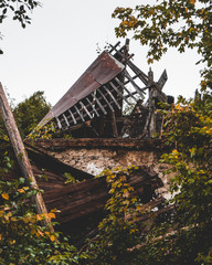 Natur bei einem eingestürzten Haus