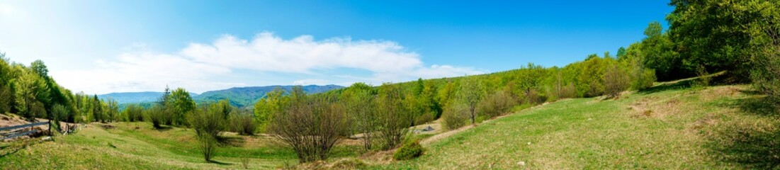 Beautiful rural summer landscape with forest, blue sky and white clouds, panorama. spring landscape with panoramic views of meadow and mountains