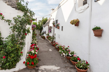 Street in the village of thrulls with white walls of houses, decorated with bright multi-colored flowers. Alberobello, Puglia, Italy