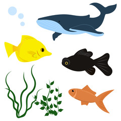 Marine life: yellow zebras, telescope, shark. sea fish, predator. set of vector graphics, algae