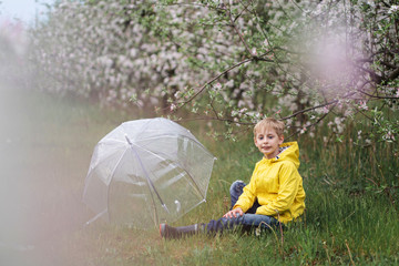 portrait of a boy in a flowery apple orchard