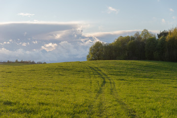 Track from car in green field with forest on spring day