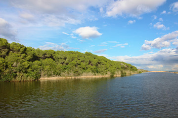 Obraz premium Albufera de Valencia, España