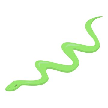 Green snake icon. Isometric of green snake vector icon for web design isolated on white background