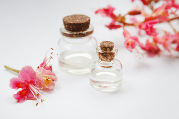 Fototapeta na wymiar Aesculus carnea Briotii, aesculus hippocastanum oil bottle with fresh Aesculus pink flowers
