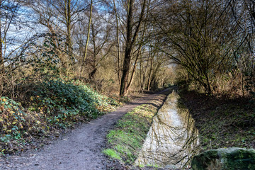 a  ditch with water along a dirt trail