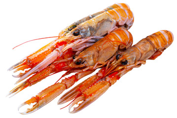 Raw Norway lobster on white background