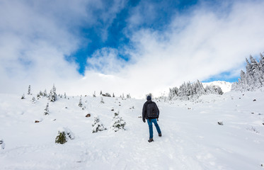 Naklejka na ściany i meble a man stand facing the mountain on a path cover with snow in paradise area,scenic view of mt Rainier National park,Washington,USA.