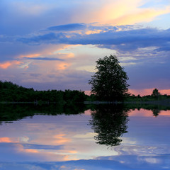 nice evening scene on lake
