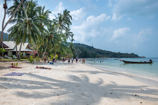  People swim and sunbathe on Haad yao beach, Koh Phangan.