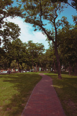 Shady city alley. Cobblestone path among the trees.