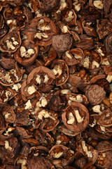 Heap of cracked wallnuts
