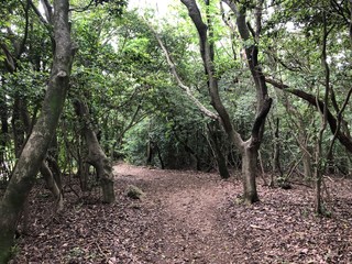 公園