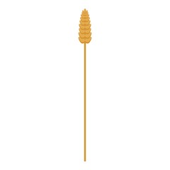 Wheat plant icon. Isometric of wheat plant vector icon for web design isolated on white background