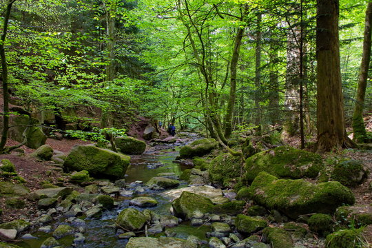 Monbachtal