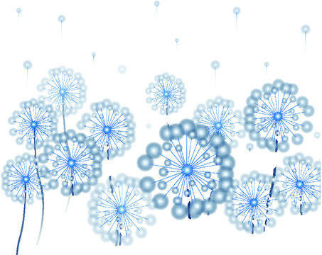 Vector image of light blue dandelions and flying dandelion seeds on white background