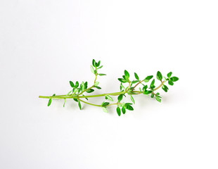 sprig of thyme isolated on white background