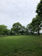 Fototapeta premium 公園