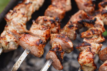 Barbecue meat on skewers, beautifully browned meat on the grill. A pork meat on the grill in the spring garden. Cooking shashlik on the mangal in nature. Shashlik cooking on the coals