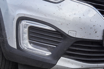 midges insects on the bumper and hood of the car © justoomm