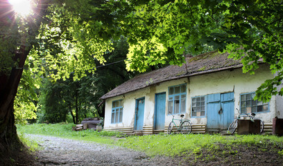 Fototapeta na wymiar old house in the woods