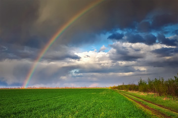 Rainbow over a spring green field. Beautiful landscape