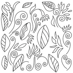 Vector set of doodle flowers and leaves for design and creativity, to create frames, design cards