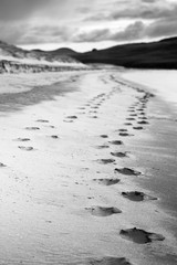 foot prints on the sandy beach