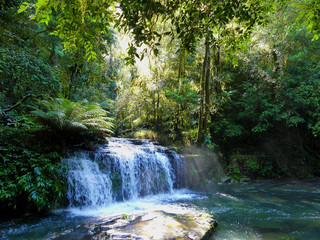 Beautiful waterfall in a rainforest