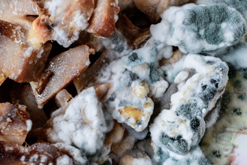 Moldy potato salad in a plate