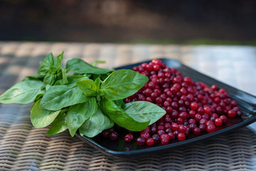Fresh basil and ripe cranberries on a black plate. Cooking healthy vegetarian food.