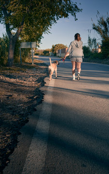 Girl Seen From Behind Walking Down A Road And Carrying A Dog