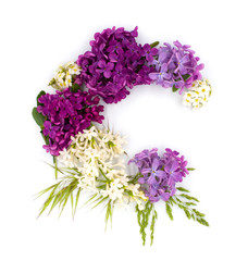 Fototapeta premium Tender purple violet lilac spring flowers isolated on white background. Decoration design element for greeting card, wedding invitation decor