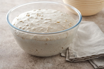 Raw dough for whole wheat rye bread in a bowl.