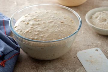Raw dough for whole wheat rye bread in a bowl.