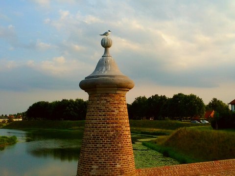 Bonapartes Gull Perching On Bridge Over River Against Sky