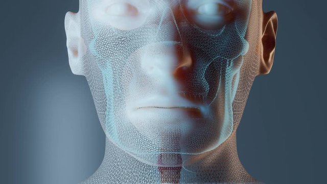 Stomach anatomy in male body. 3D render animation medically accurate