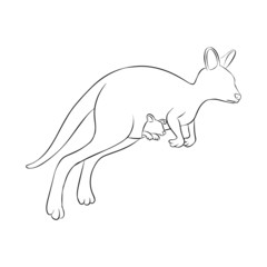 Kangaroo Line art vector design, black and white