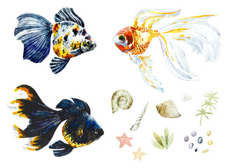 Golden fish in water. Watercolor collection. Hand drawn illustration.