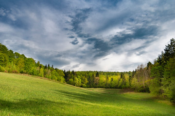 Obraz premium Wiosna 