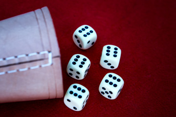 six dice with cup on red background
