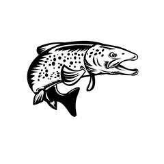 Speckled Trout Fish Jumping Woodcut Retro Black and White