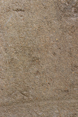 Fototapeta na wymiar Texture of grey concrete wall for background, wall texture background