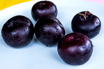 group of fresh dark plume on a white plate