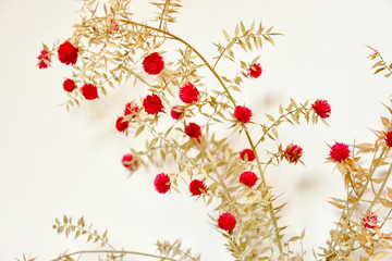 
background with dry flowers