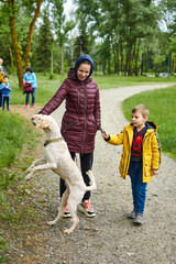 Obraz premium A woman with a son and a dog are walking in the park.